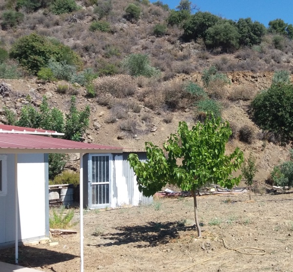 Agricultural LAND PANO LEFKARA